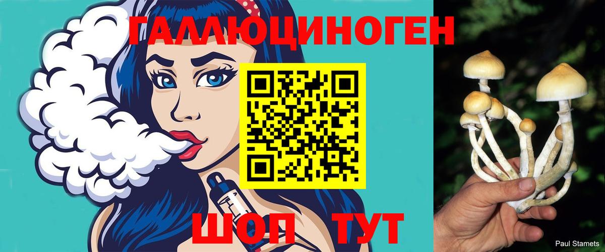 Галлюциногенные грибы прущие грибы  Вход с VPN  Бугуруслан 